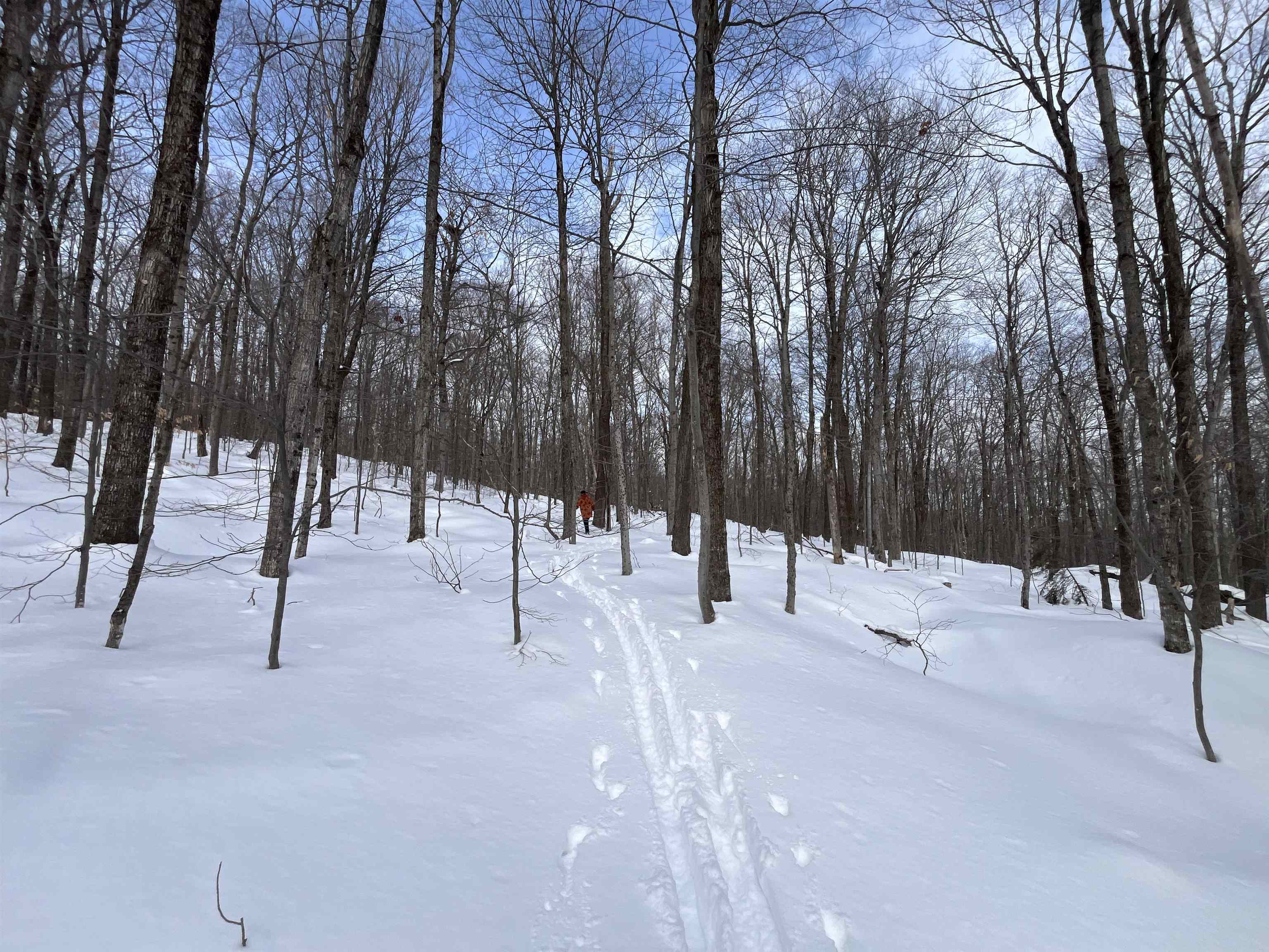 Lot 1 Streeter Road, Unit 1 West Wardsboro, VT 05360 - Photo 2 of 12