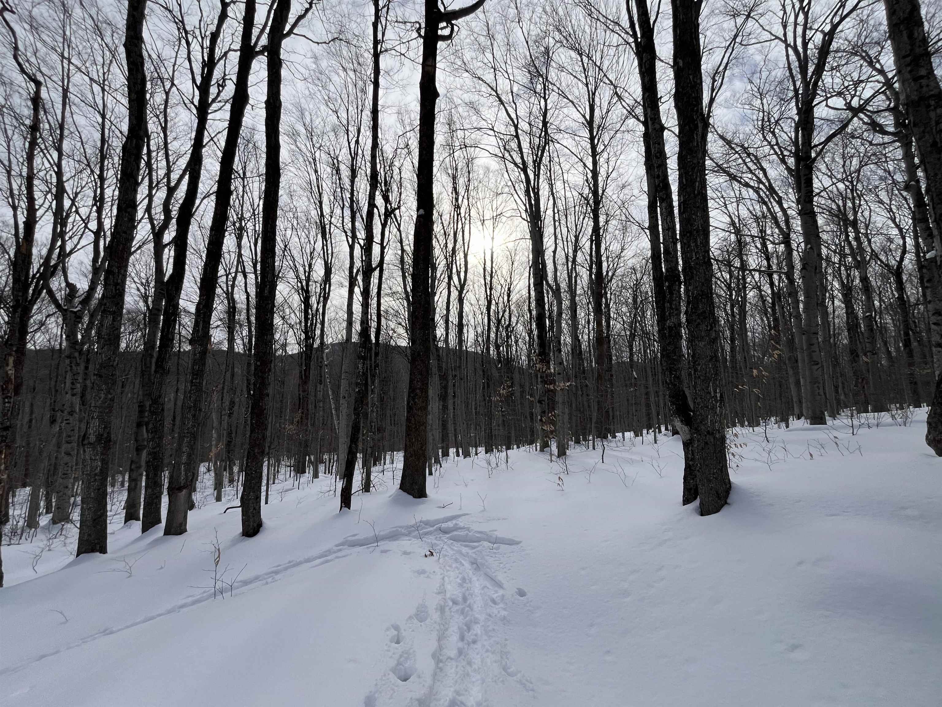Lot 1 Streeter Road, Unit 1 West Wardsboro, VT 05360 - Photo 3 of 12