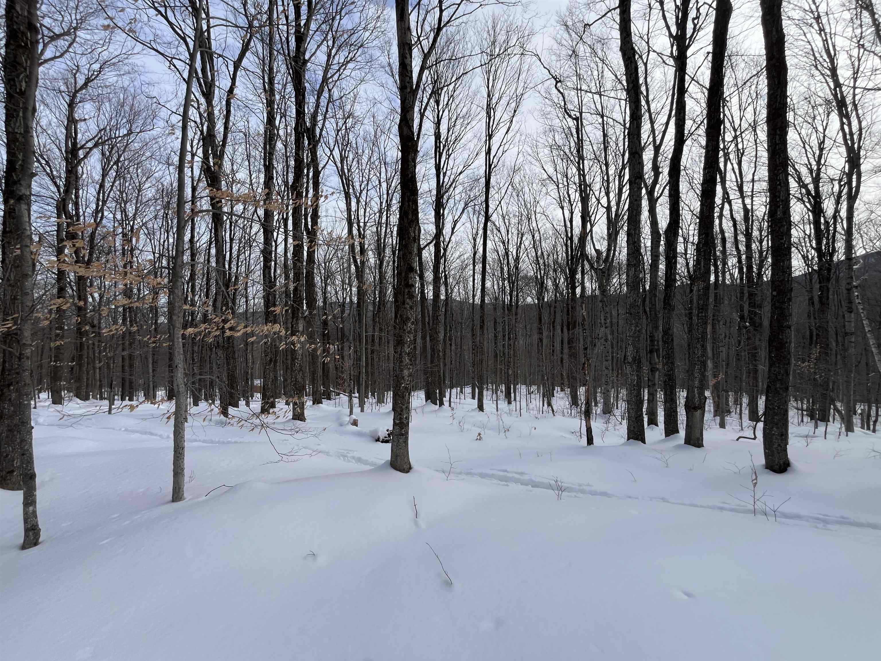 Lot 1 Streeter Road, Unit 1 West Wardsboro, VT 05360 - Photo 4 of 12