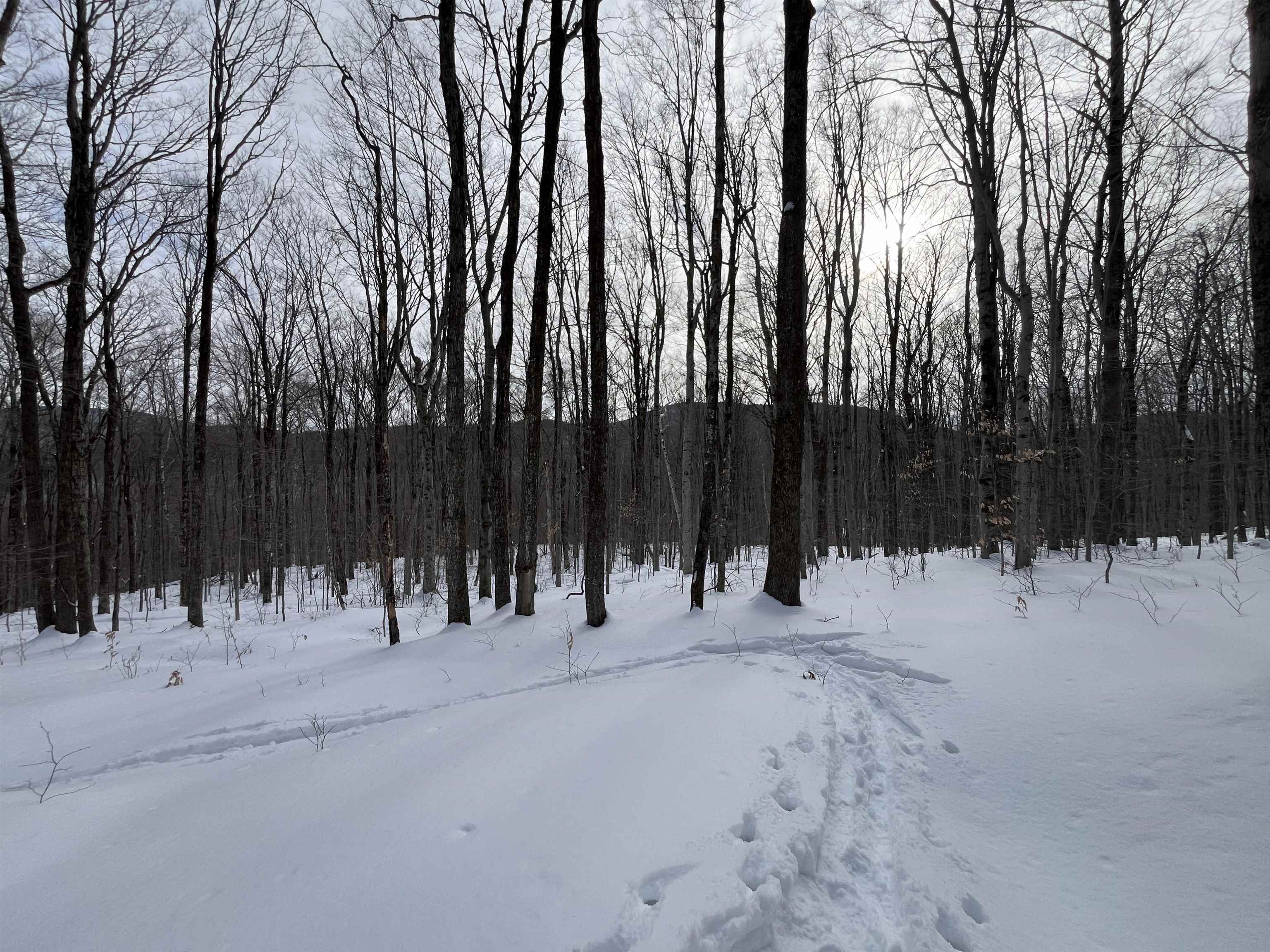 Lot 1 Streeter Road, Unit 1 West Wardsboro, VT 05360 - Photo 5 of 12