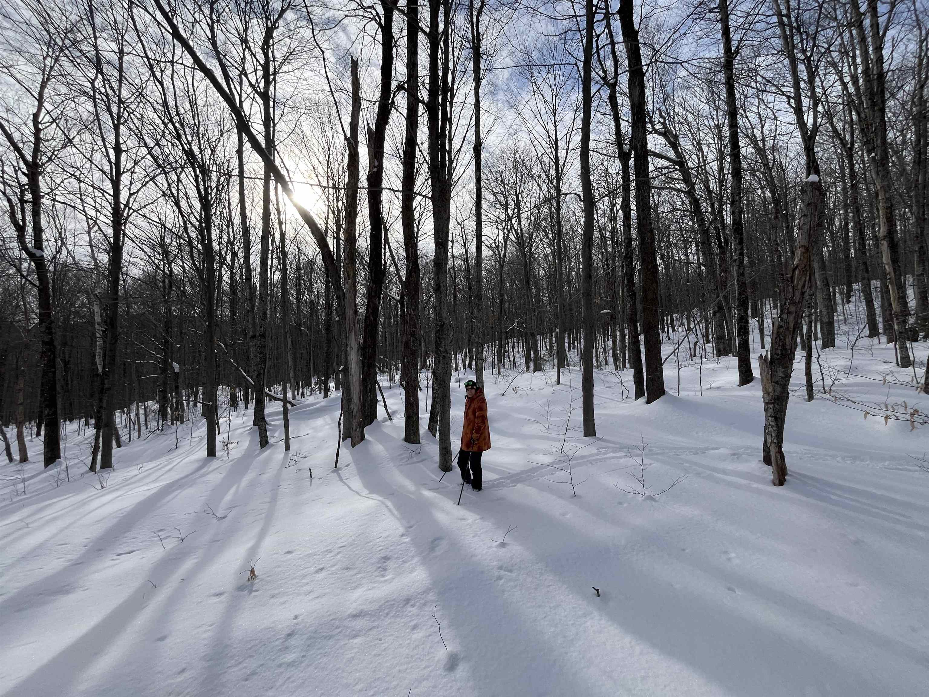 Lot 1 Streeter Road, Unit 1 West Wardsboro, VT 05360 - Photo 6 of 12