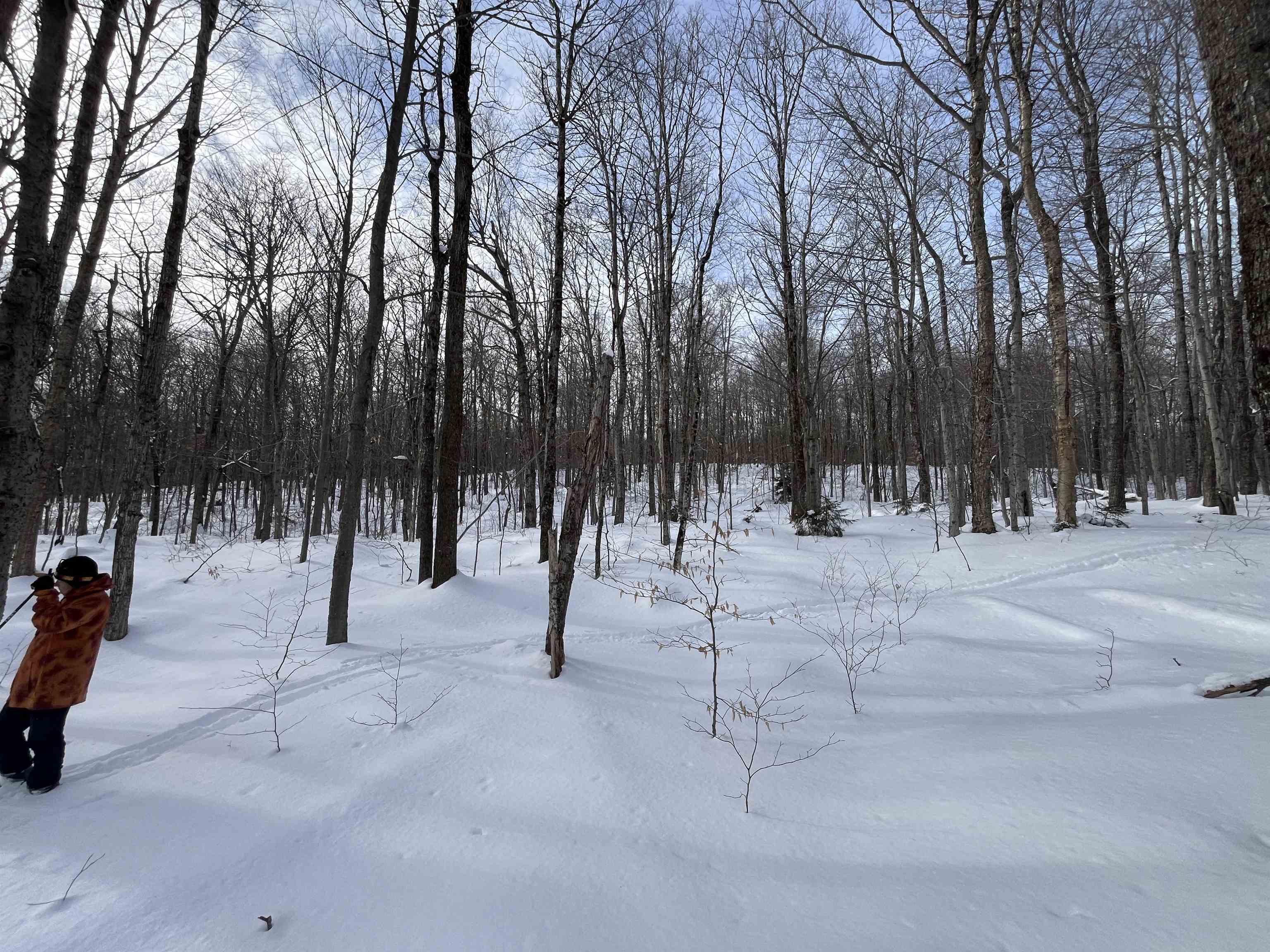 Lot 1 Streeter Road, Unit 1 West Wardsboro, VT 05360 - Photo 7 of 12