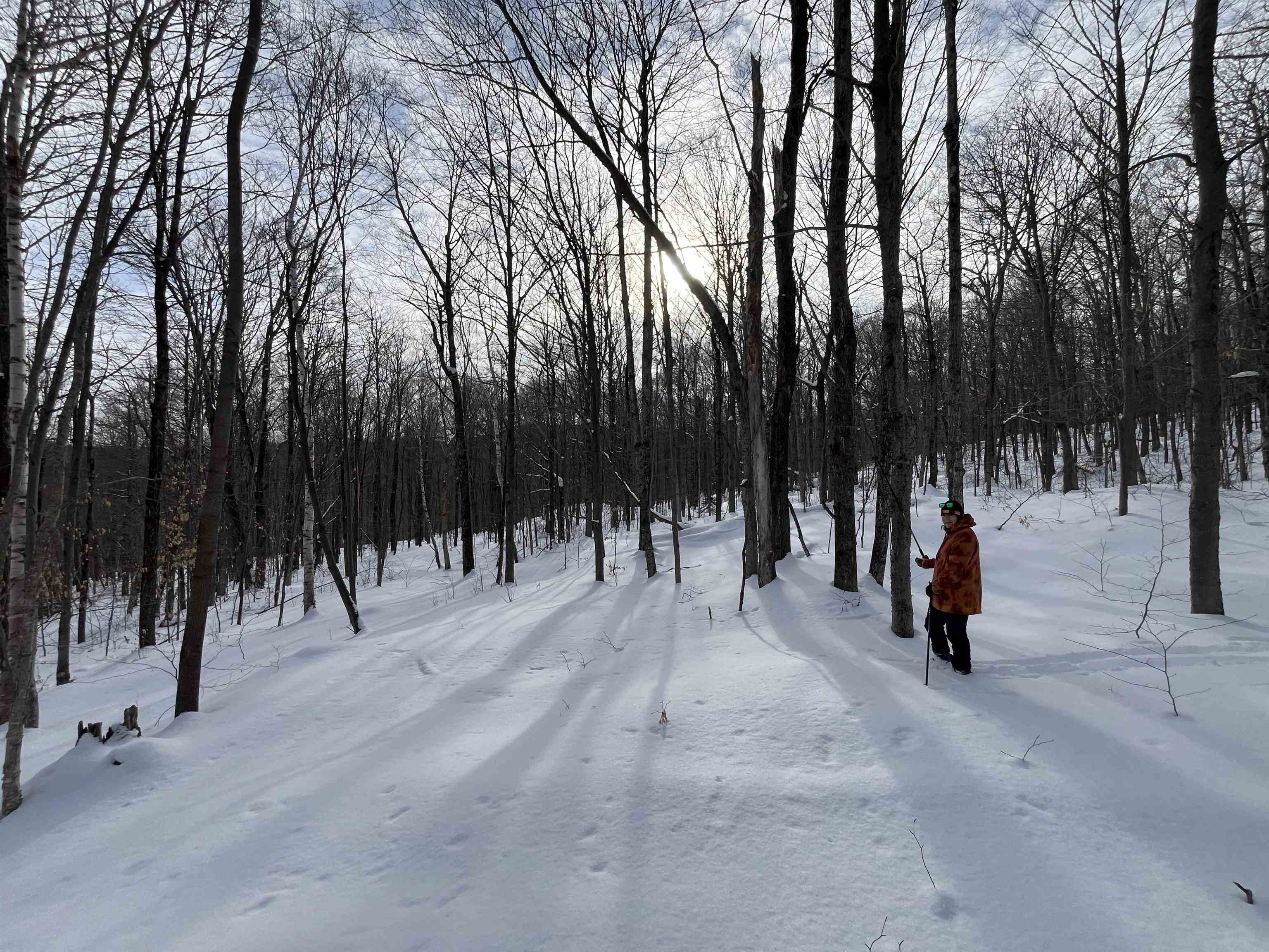 Lot 1 Streeter Road, Unit 1 West Wardsboro, VT 05360 - Photo 8 of 12