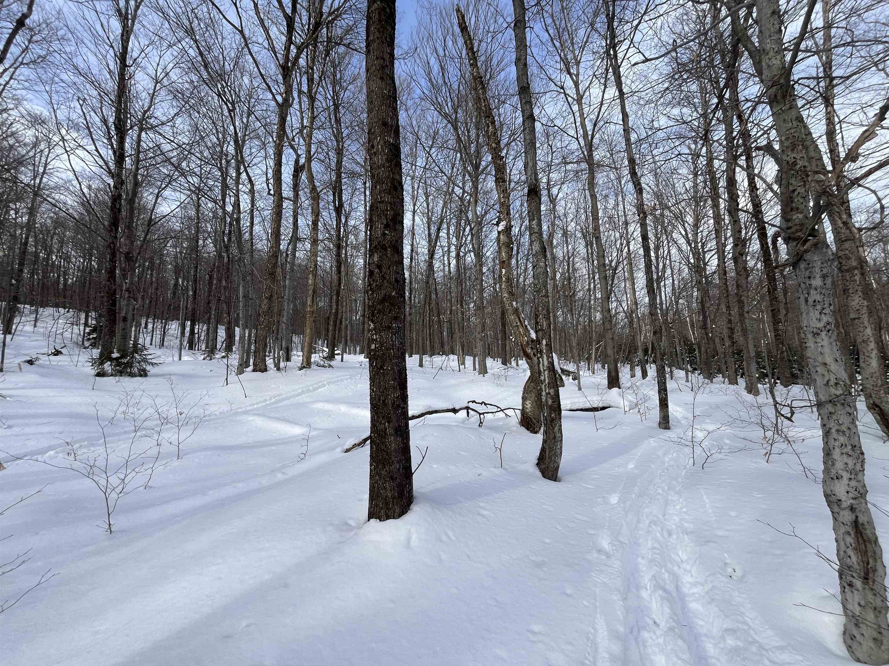 Lot 1 Streeter Road, Unit 1 West Wardsboro, VT 05360 - Photo 9 of 12