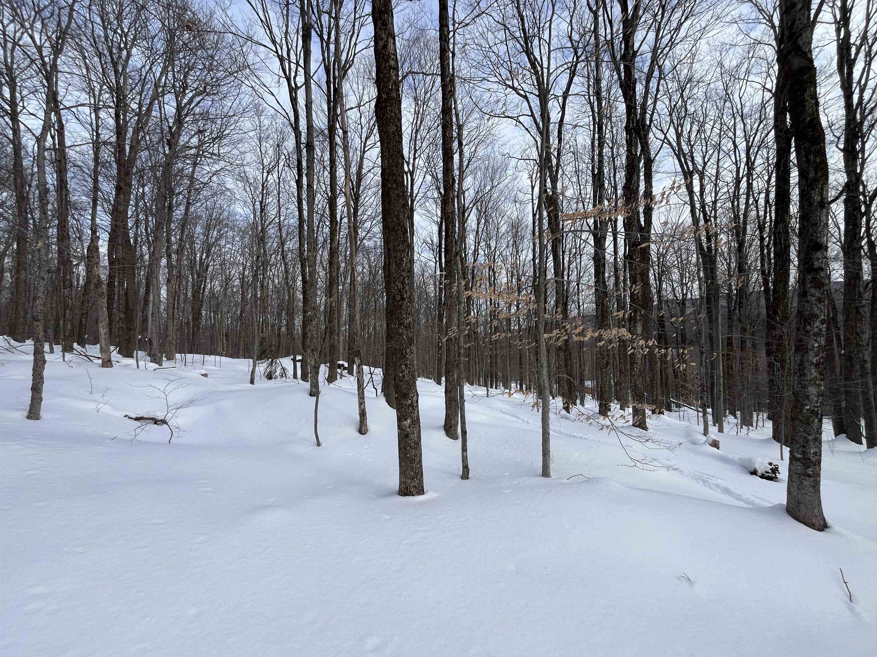 Lot 1 Streeter Road, Unit 1 West Wardsboro, VT 05360 - Photo 10 of 12