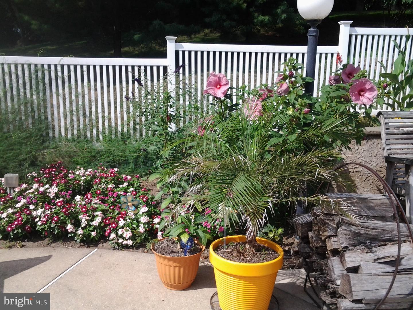 25 Concord Road Garnet Valley, PA 19060 - Photo 21 of 25 Garden