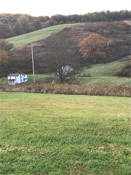 481 Sugar Run Road Shelocta, PA 15774 - Photo 13 of 16 View from adjacent road.