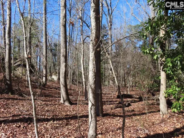 $39,500 | 0 Rion Road, Winnsboro, SC 29180