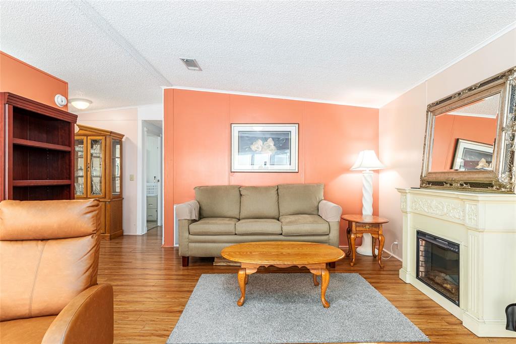 10085 Southeast 126th Place Belleview, FL 34420 - Photo 7 of 45 a living room with furniture a rug and a fireplace