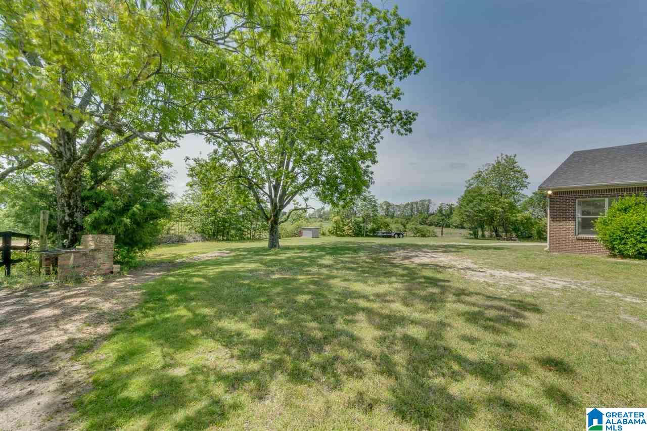 756 County Road 372 Clanton, AL 35045 - Photo 39 of 41