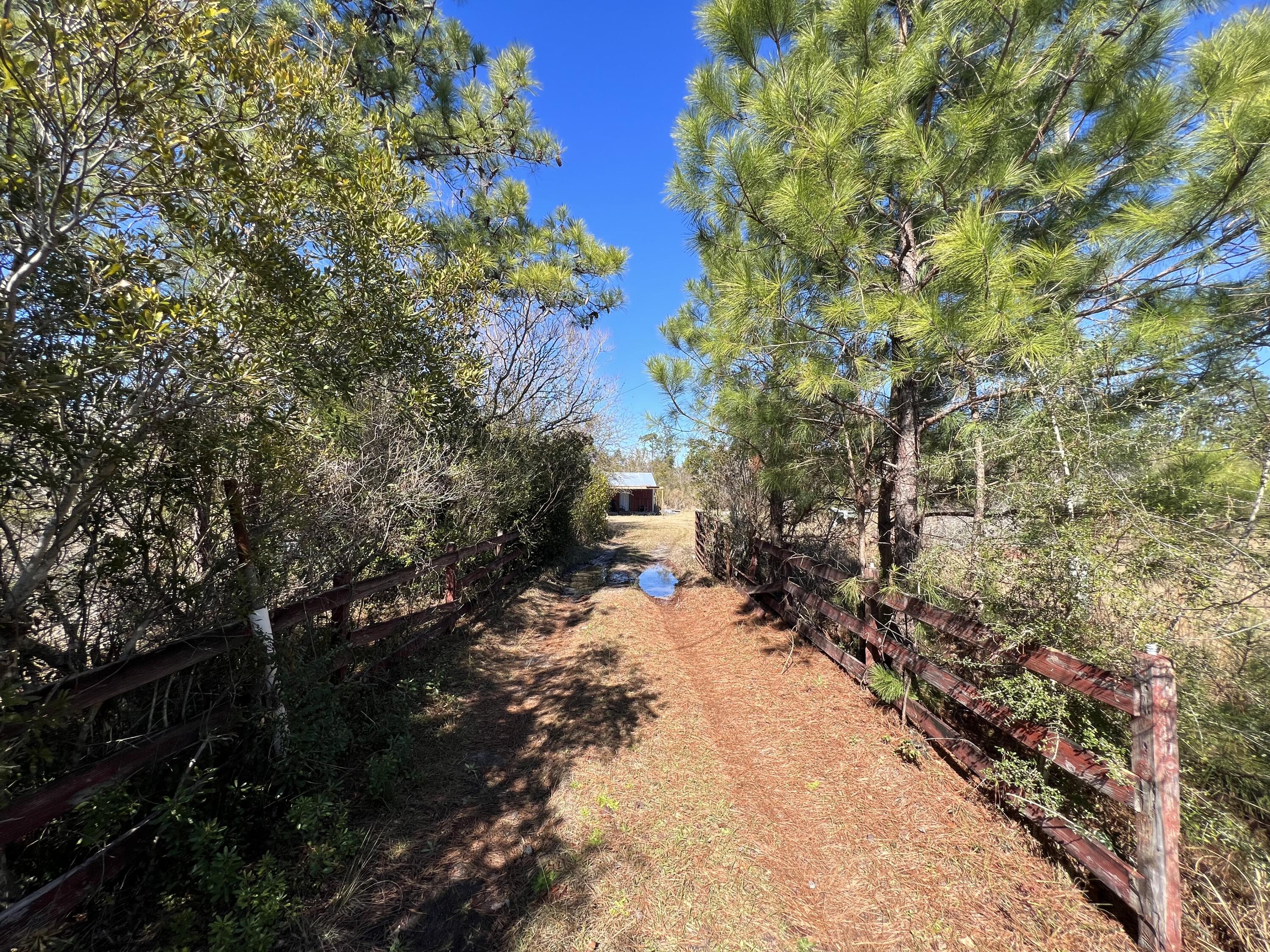 a view of a yard with plants and trees