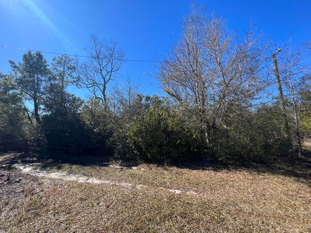 a view of outdoor space and yard