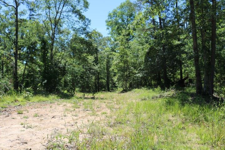 0 South Clark Road Kilmichael, MS 39747 - Photo 15 of 48 Photo 16
