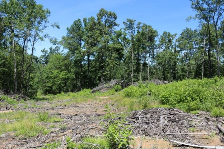 0 South Clark Road Kilmichael, MS 39747 - Photo 16 of 48 Photo 17
