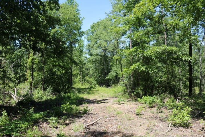 0 South Clark Road Kilmichael, MS 39747 - Photo 18 of 48 Photo 19