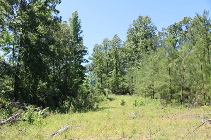 0 South Clark Road Kilmichael, MS 39747 - Photo 2 of 48 Photo 2