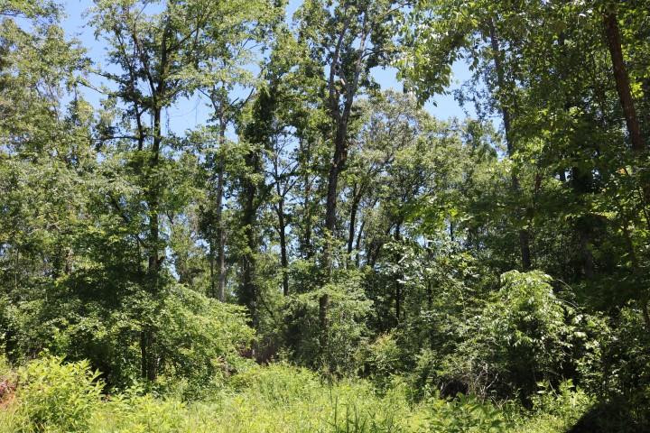 0 South Clark Road Kilmichael, MS 39747 - Photo 21 of 48 Photo 22