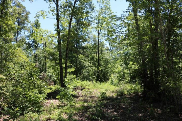 0 South Clark Road Kilmichael, MS 39747 - Photo 23 of 48 Photo 24