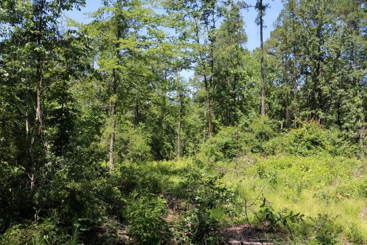 0 South Clark Road Kilmichael, MS 39747 - Photo 24 of 48 Photo 25