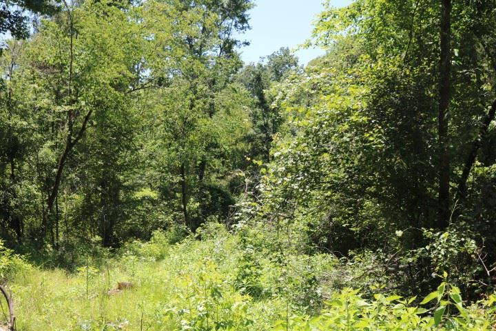 0 South Clark Road Kilmichael, MS 39747 - Photo 26 of 48 Photo 27