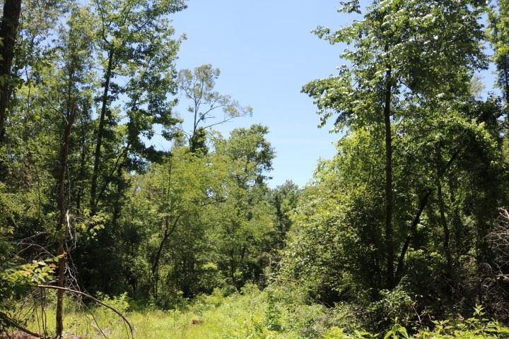 0 South Clark Road Kilmichael, MS 39747 - Photo 27 of 48 Photo 28