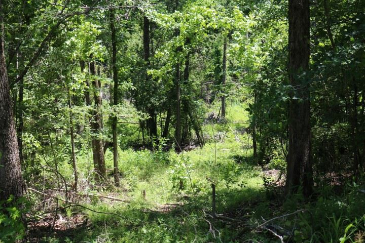 0 South Clark Road Kilmichael, MS 39747 - Photo 30 of 48 Photo 31