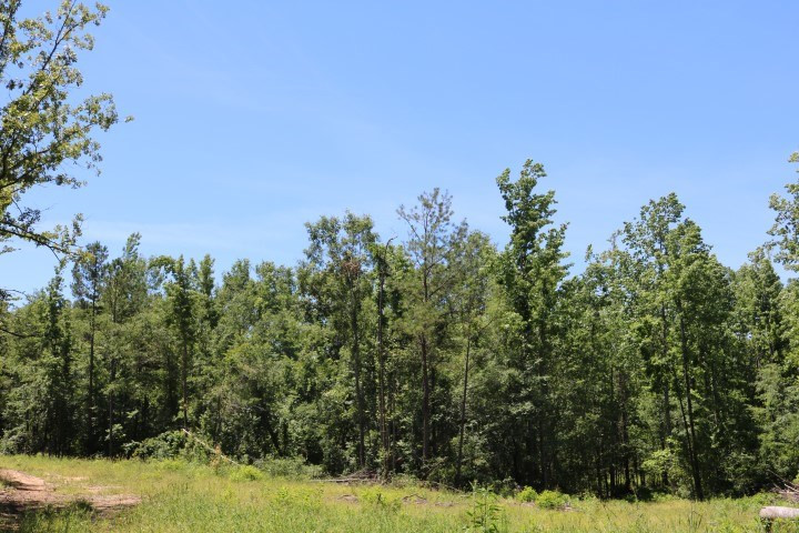 0 South Clark Road Kilmichael, MS 39747 - Photo 32 of 48 Photo 33