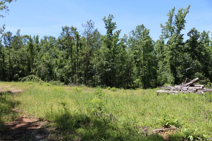 0 South Clark Road Kilmichael, MS 39747 - Photo 33 of 48 Photo 34