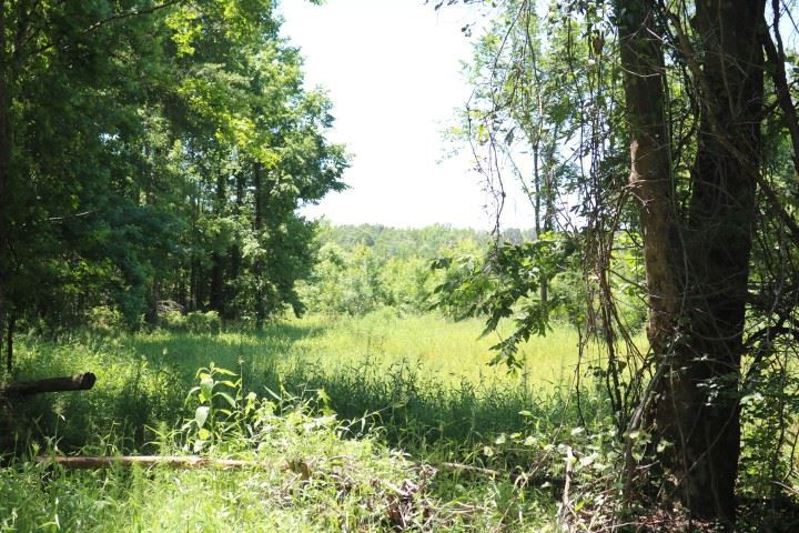 0 South Clark Road Kilmichael, MS 39747 - Photo 34 of 48 Photo 35