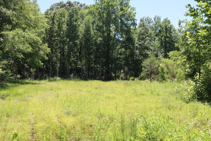 0 South Clark Road Kilmichael, MS 39747 - Photo 35 of 48 Photo 36