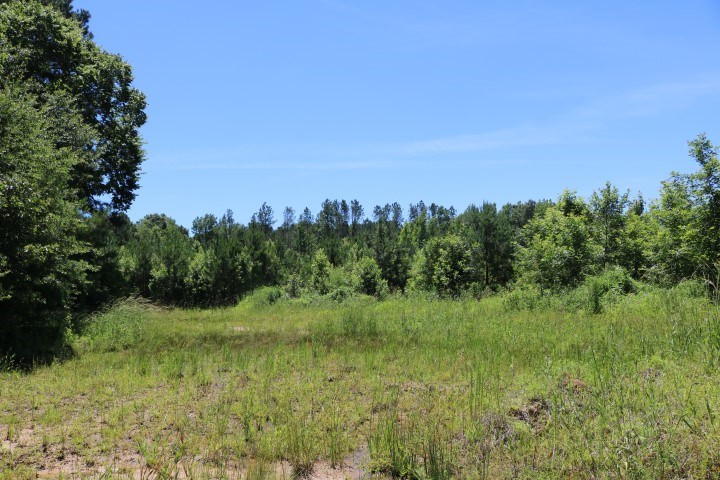 0 South Clark Road Kilmichael, MS 39747 - Photo 38 of 48 Photo 39