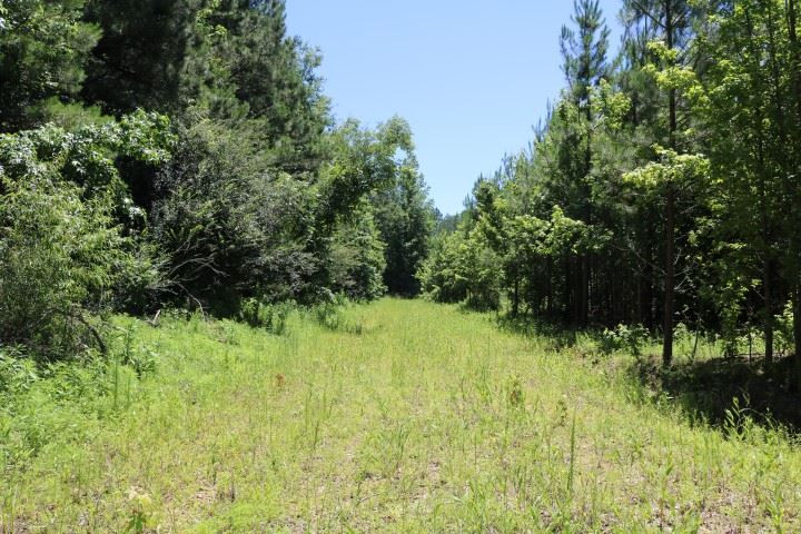 0 South Clark Road Kilmichael, MS 39747 - Photo 40 of 48 Photo 41