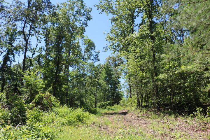 0 South Clark Road Kilmichael, MS 39747 - Photo 4 of 48 Photo 4