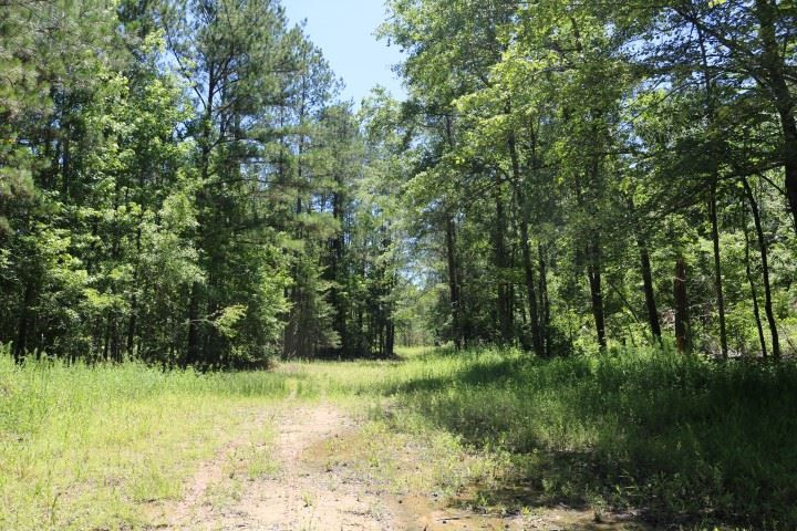 0 South Clark Road Kilmichael, MS 39747 - Photo 41 of 48 Photo 42