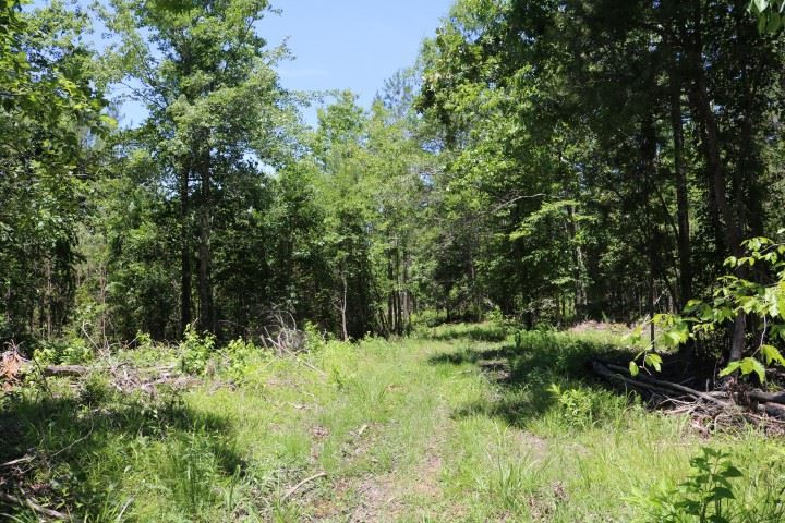 0 South Clark Road Kilmichael, MS 39747 - Photo 46 of 48 Photo 47