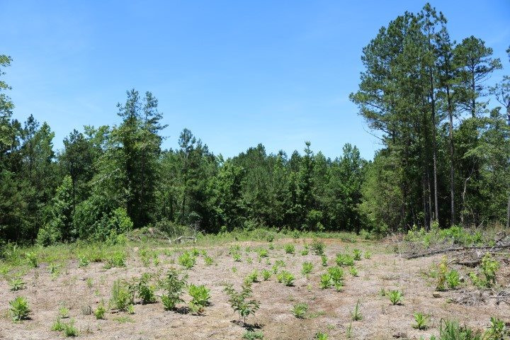 0 South Clark Road Kilmichael, MS 39747 - Photo 47 of 48 Photo 48