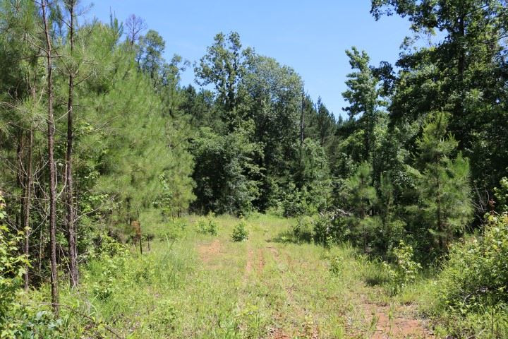 0 South Clark Road Kilmichael, MS 39747 - Photo 5 of 48 Photo 5