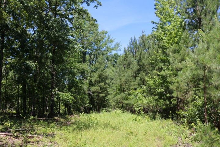 0 South Clark Road Kilmichael, MS 39747 - Photo 6 of 48 Photo 6