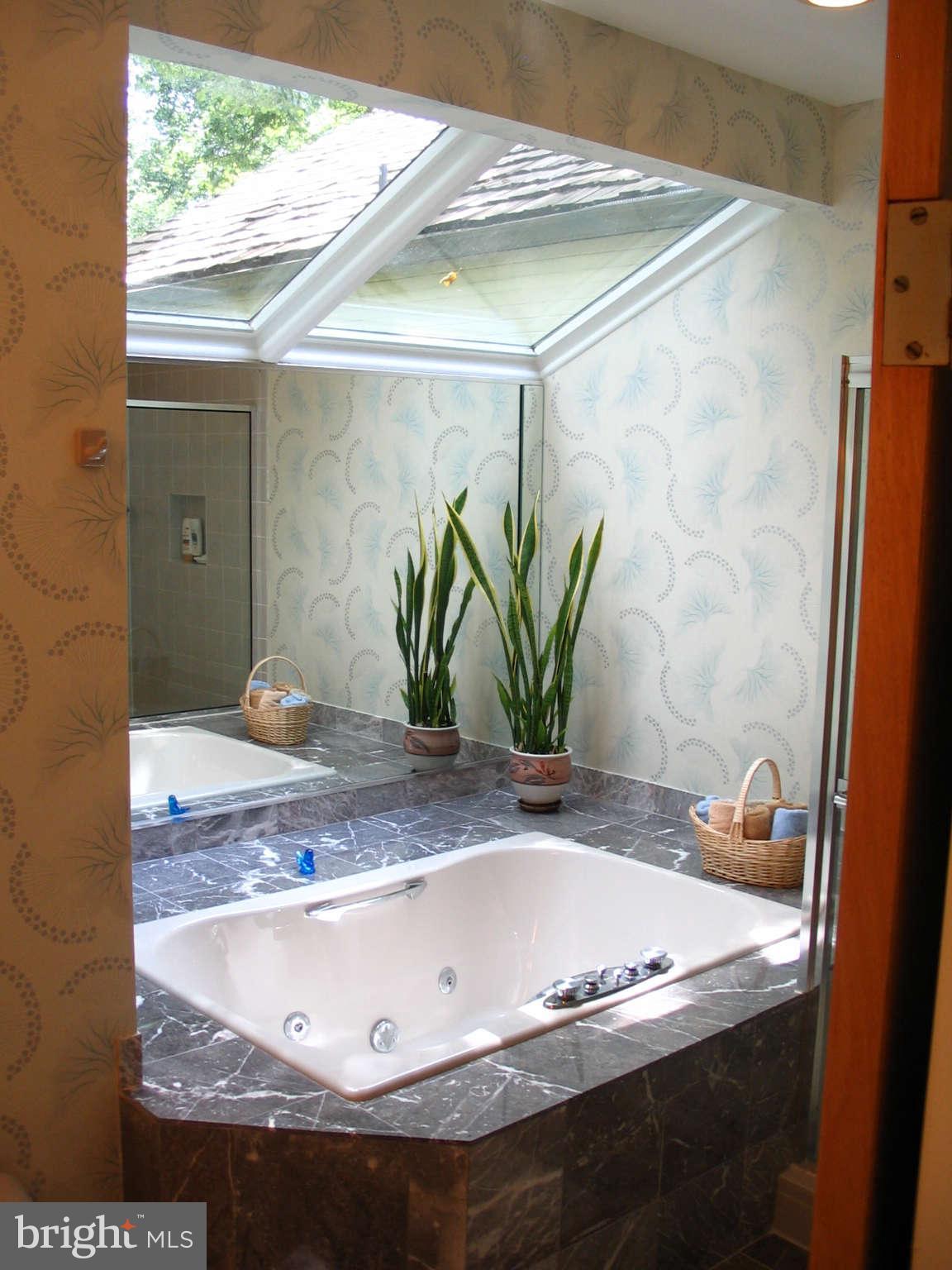 11312 South Shore Road Reston, VA 20190 - Photo 13 of 30 a view of bathroom with a tub and shower