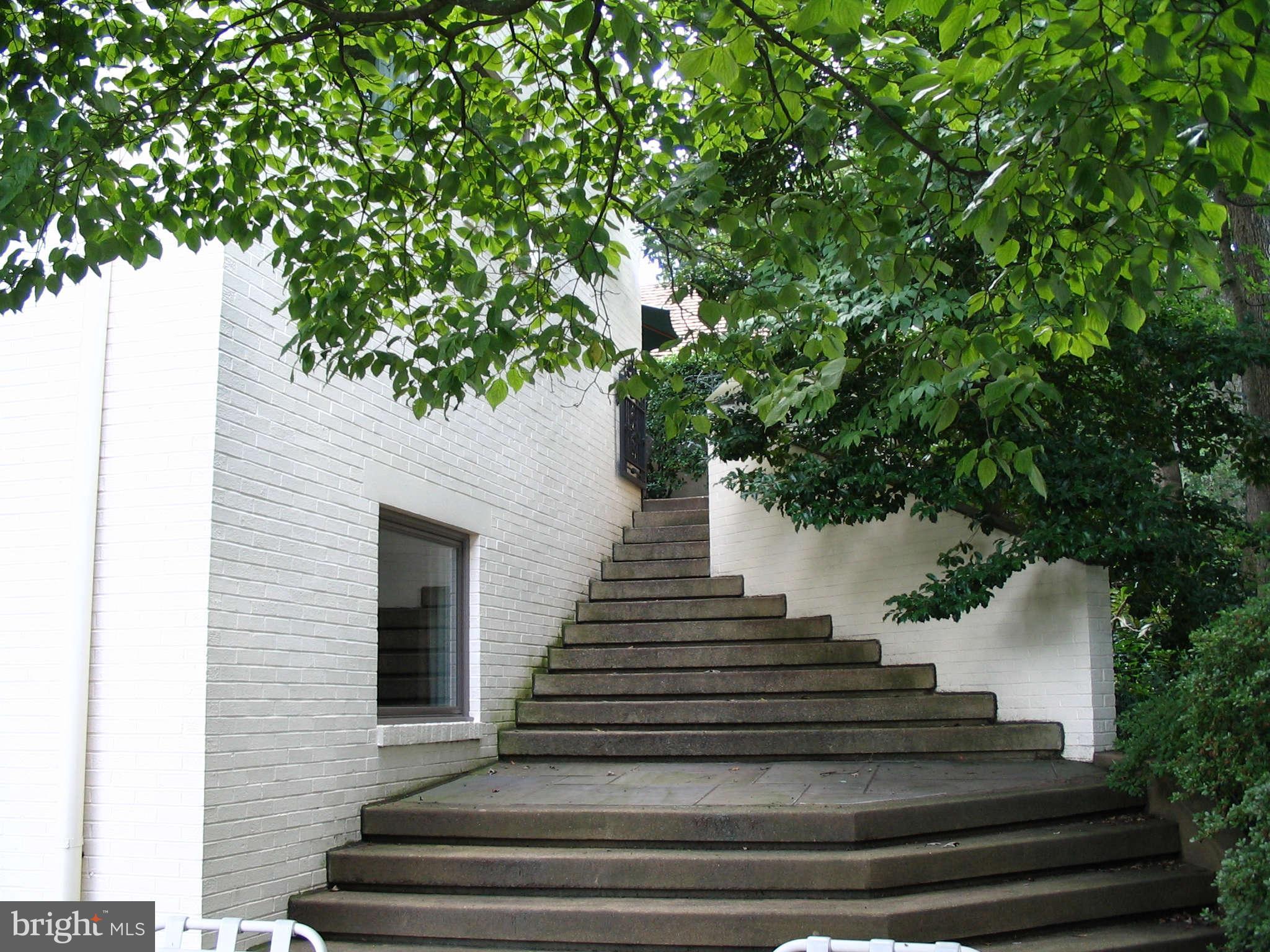 11312 South Shore Road Reston, VA 20190 - Photo 26 of 30 a view of stairs and trees