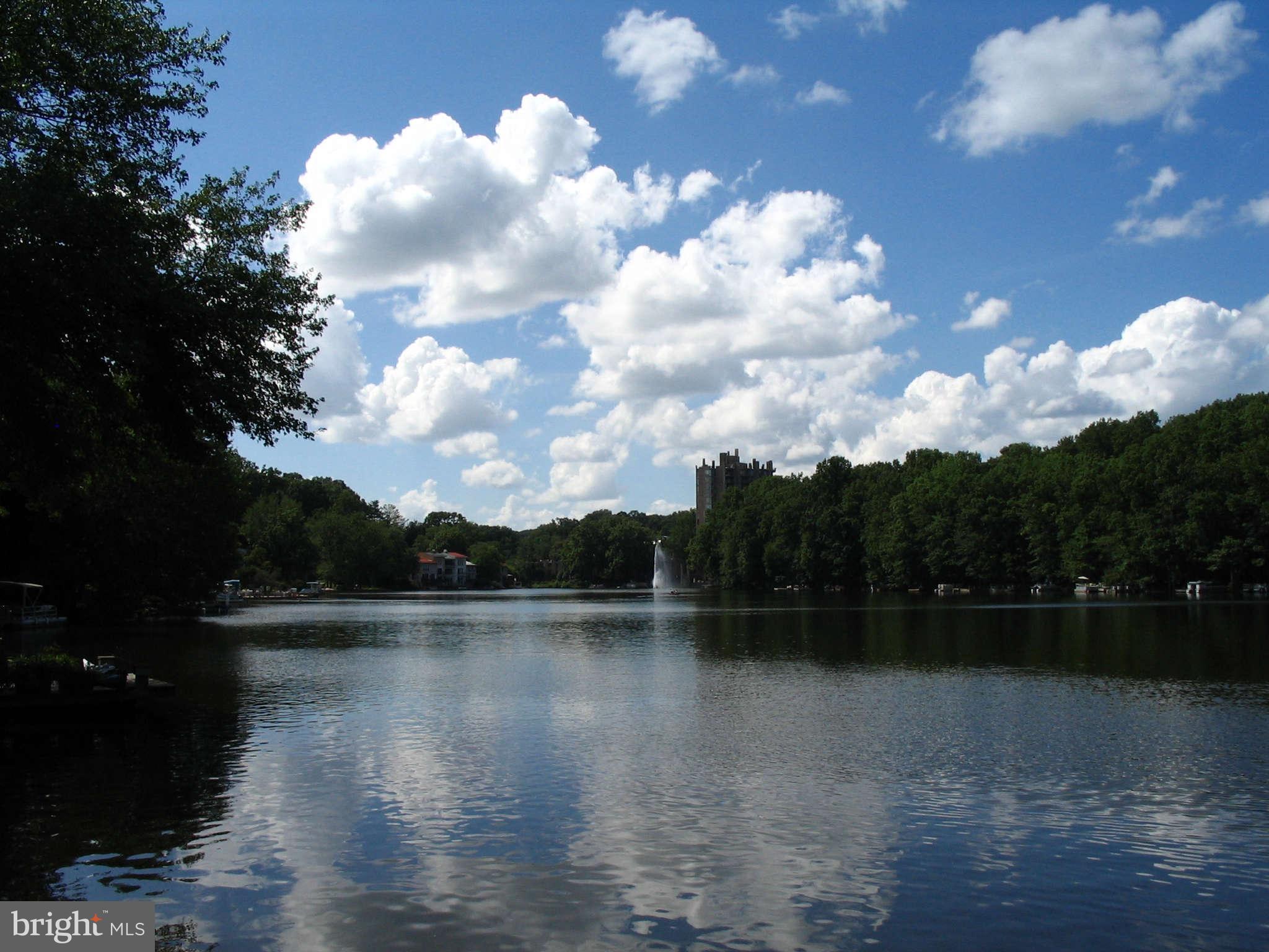 11312 South Shore Road Reston, VA 20190 - Photo 30 of 30 a view of lake