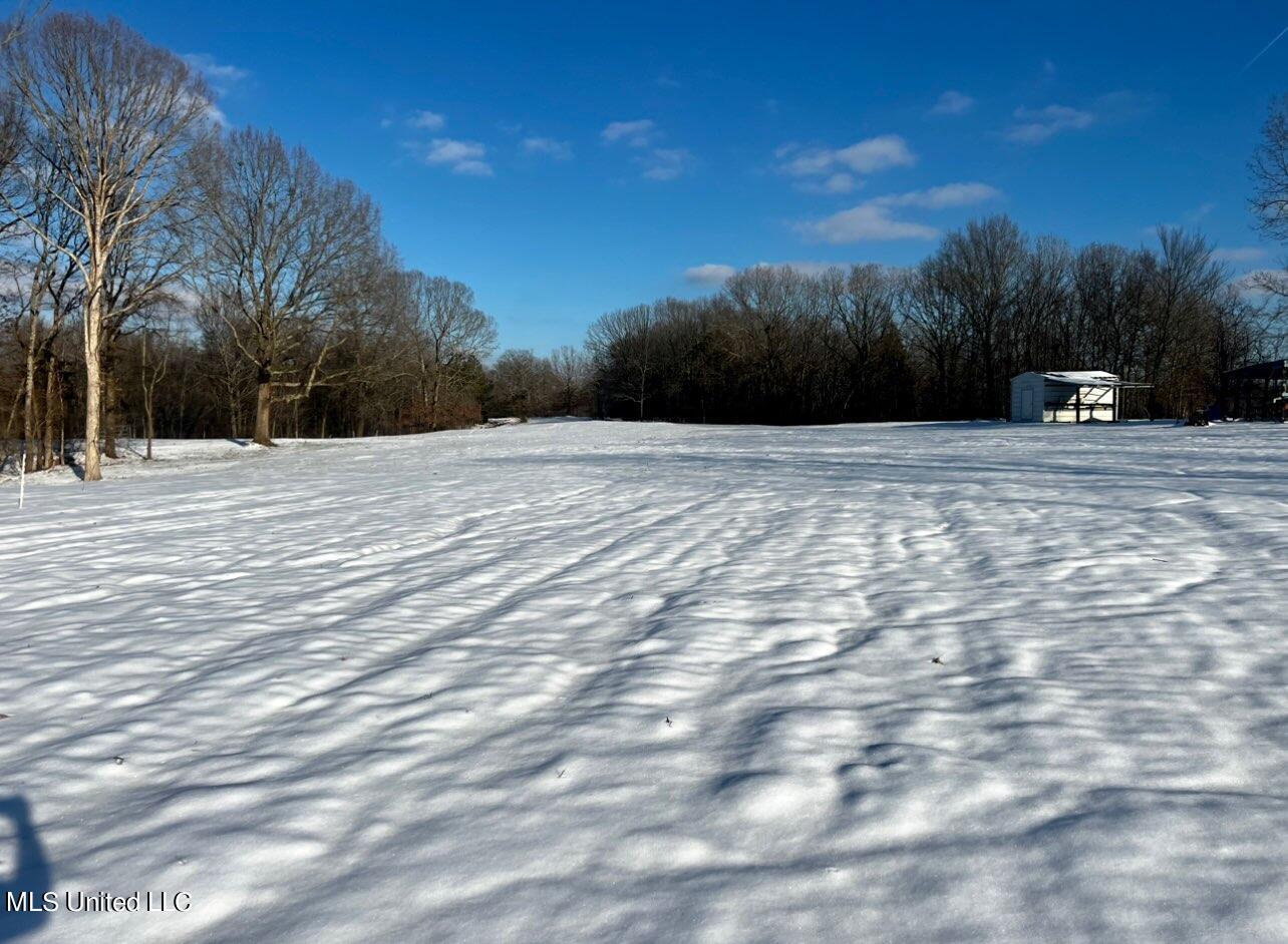 4401 Jason Patrick Road Holly Springs, MS 38635 - Photo 7 of 7 4401 Jason Patrick Rd. snow with shed