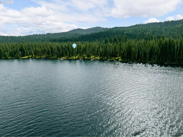 $460,000 | 85 Diamond Lake Loop, Chemult, OR 97731
