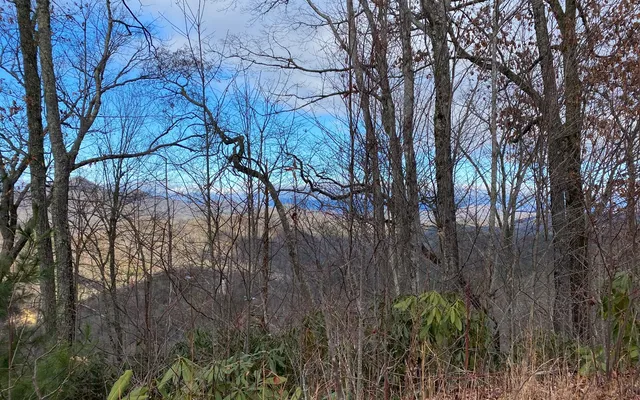 $60,000 | Lot G3 Georgianna Lane, Bryson City, NC 28713