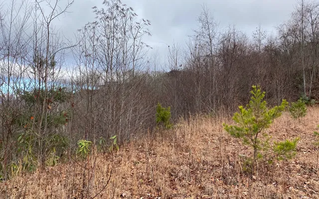 $60,000 | Lot G3 Georgianna Lane, Bryson City, NC 28713