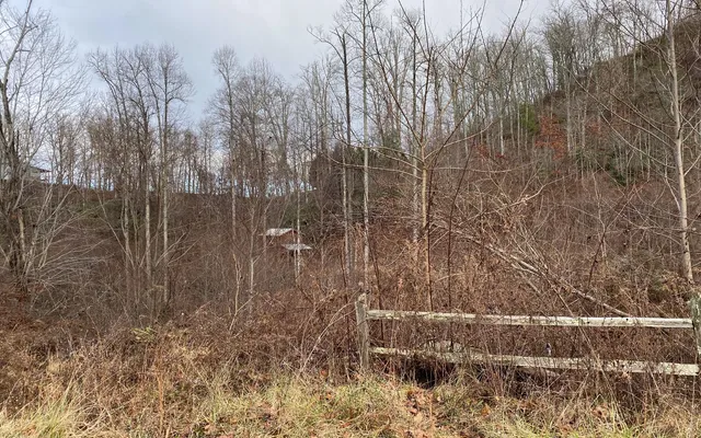 $60,000 | Lot G3 Georgianna Lane, Bryson City, NC 28713
