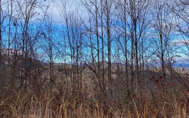 $60,000 | Lot G3 Georgianna Lane, Bryson City, NC 28713