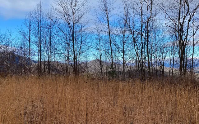 $60,000 | Lot G3 Georgianna Lane, Bryson City, NC 28713