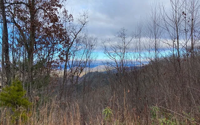 $60,000 | Lot G3 Georgianna Lane, Bryson City, NC 28713