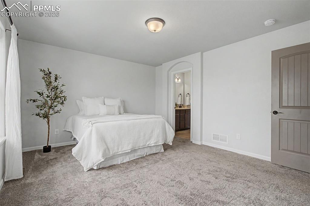 4467 Hessite Loop Colorado Springs, CO 80938 - Photo 18 of 37 a bedroom with a bed and a potted plant